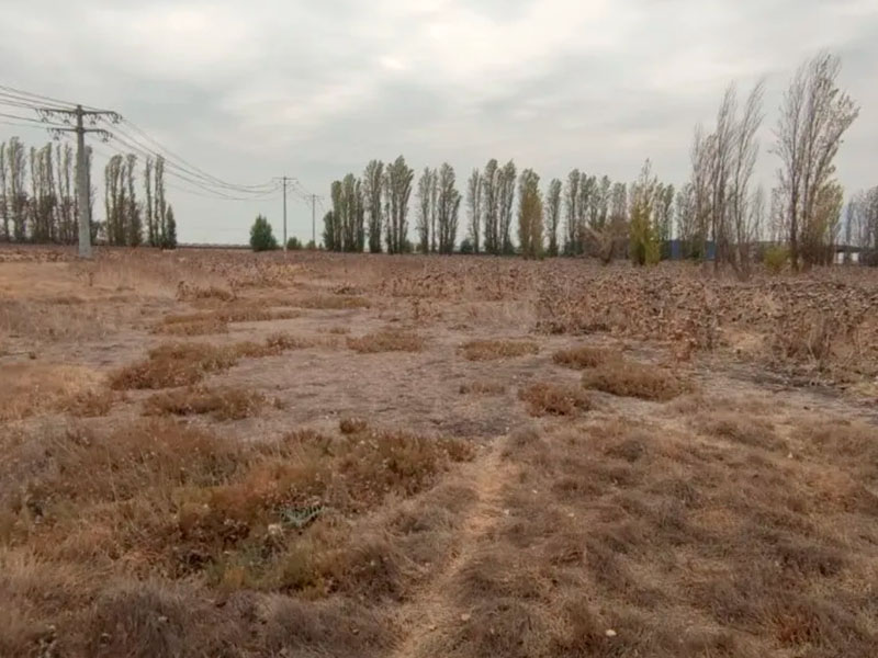 Terreno Industrial