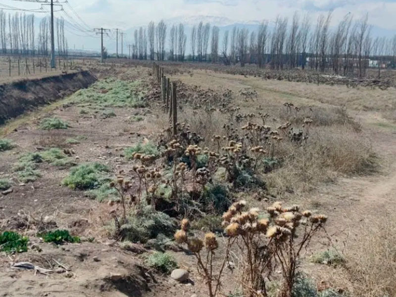 Terreno Industrial